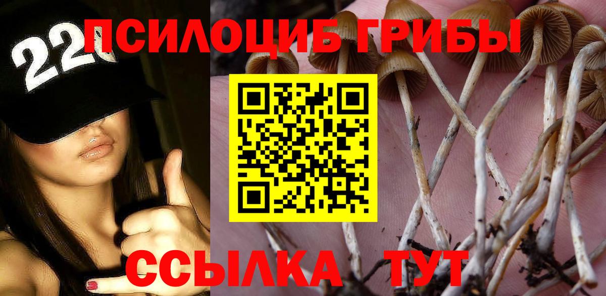 Сыктывкар  Галлюциногенные грибы Psilocybine cubensis  Вход с VPN 